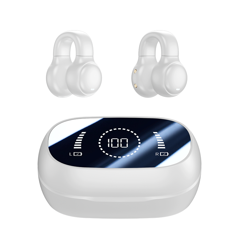 Sports & Fitness earbuds