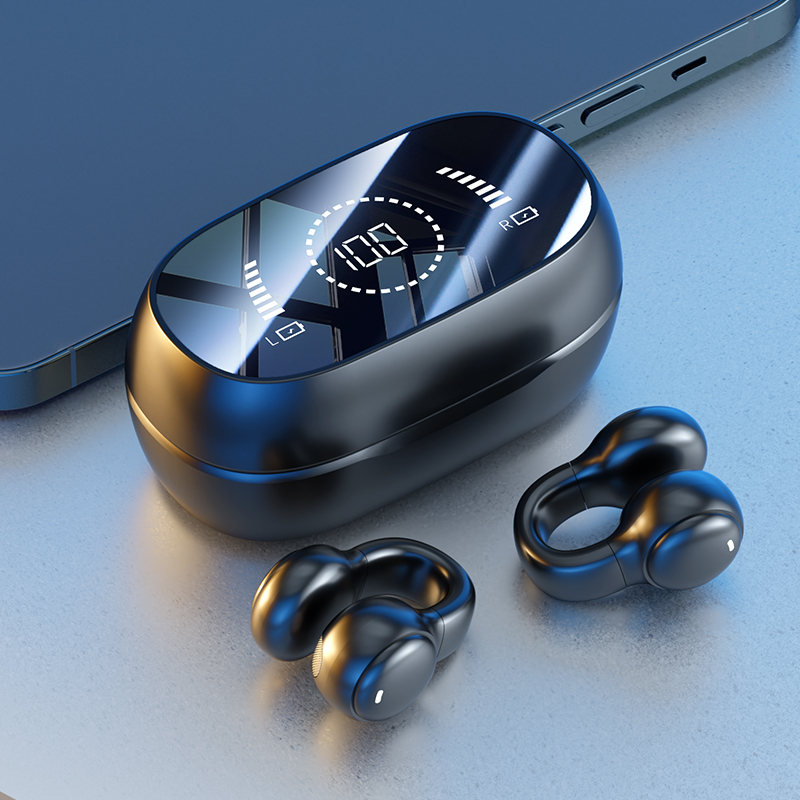 IPX5 Rated earbuds